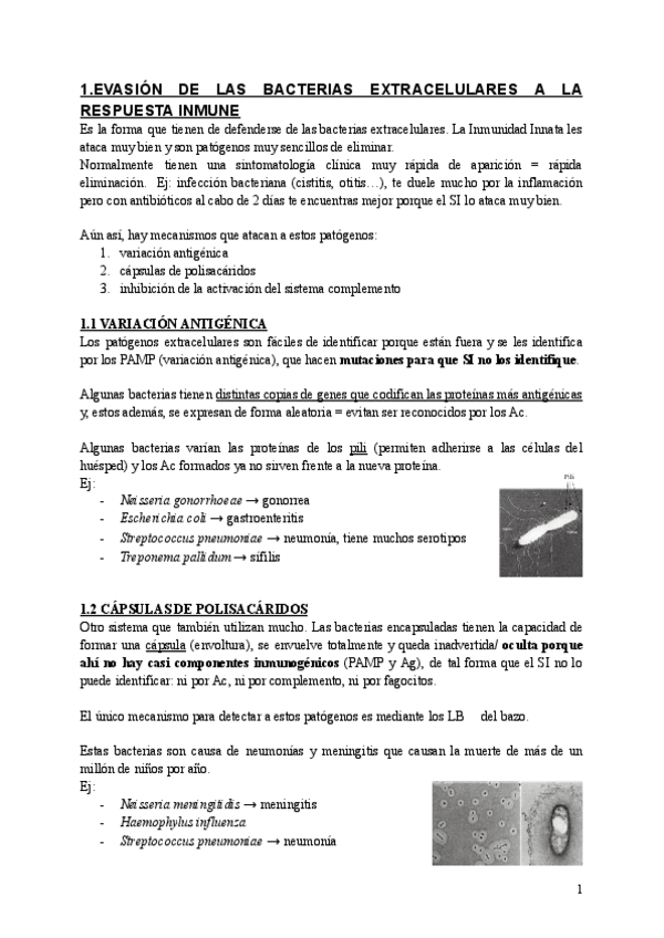Miniatura del documento INMUNO-T6.-MECANISMOS-DE-EVASION-AL-SI-DE-BACTERIAS-VIRUS-HONGOS-Y-PARASITOS.pdf