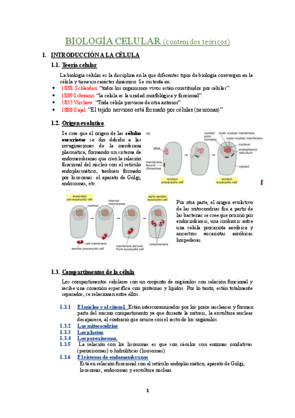 Miniatura del documento Teoria-de-BIOLOGIA-CELULAR.pdf