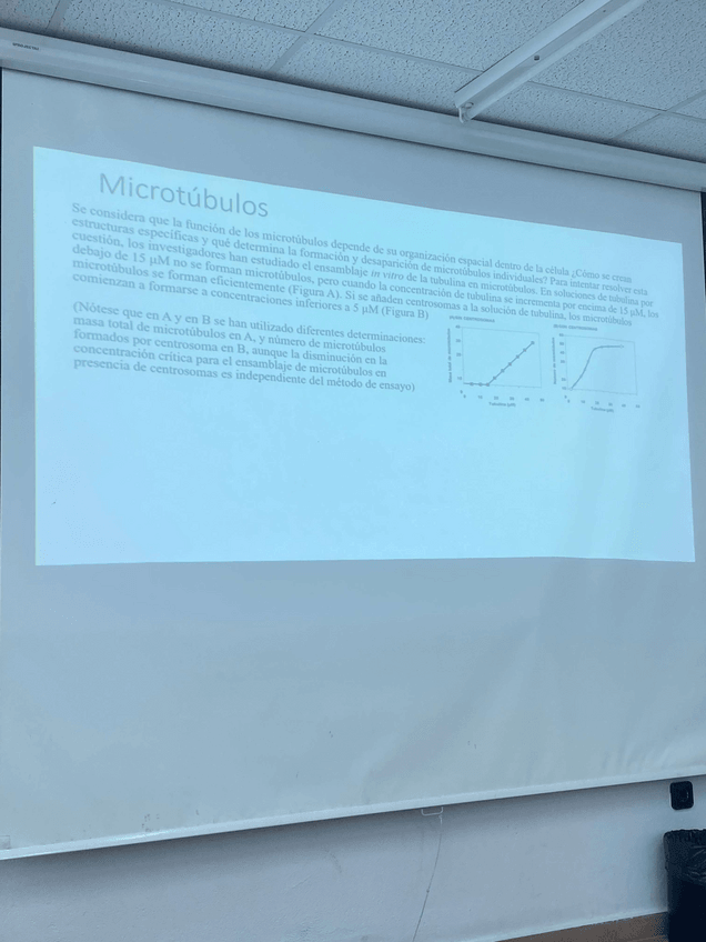 Miniatura del documento Actividades-o-problemas-de-seminario.pdf