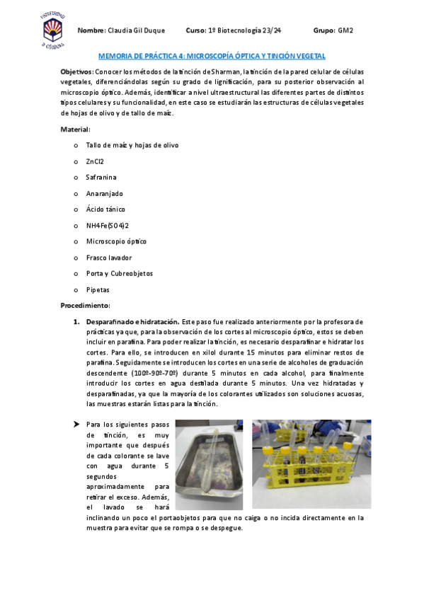 Miniatura del documento MEMORIA-DE-PRACTICA-4.pdf