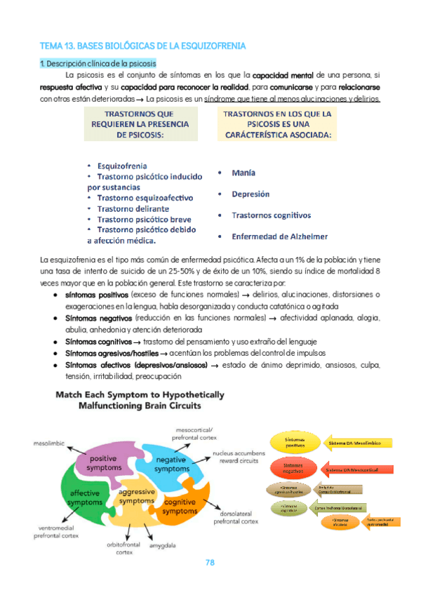 Miniatura del documento TEMA-13.pdf