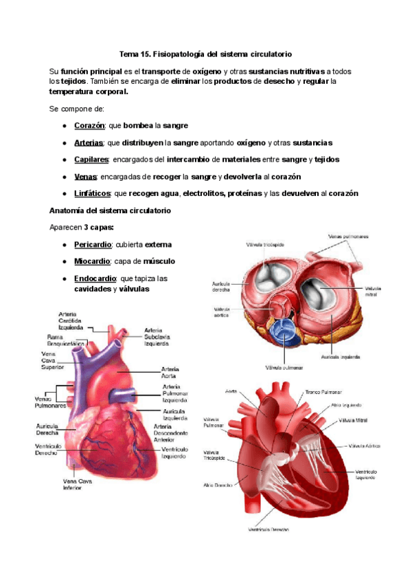 Miniatura del documento Tema-15.-Fisiopatologia-del-sistema-circulatorio.pdf