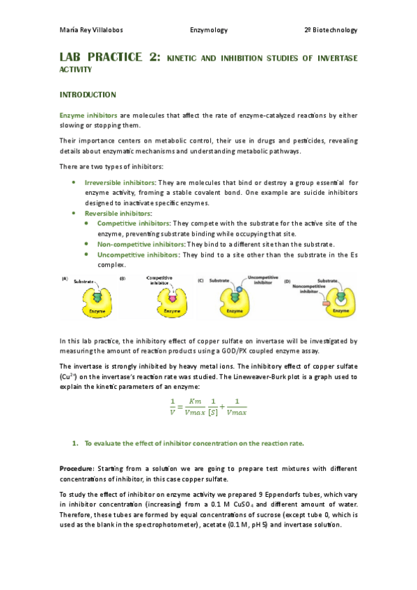 Miniatura del documento Lab-Practice-2.pdf
