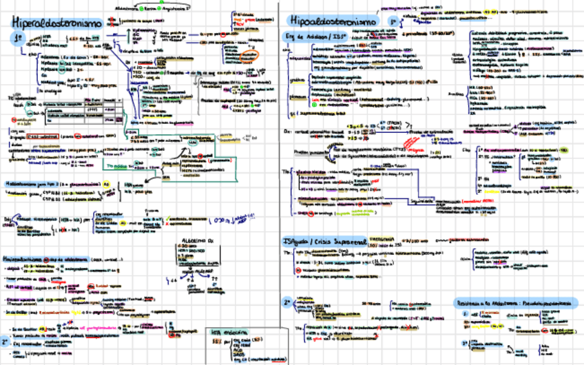Miniatura del documento Hiper-e-hipo-aldosteronismo.pdf