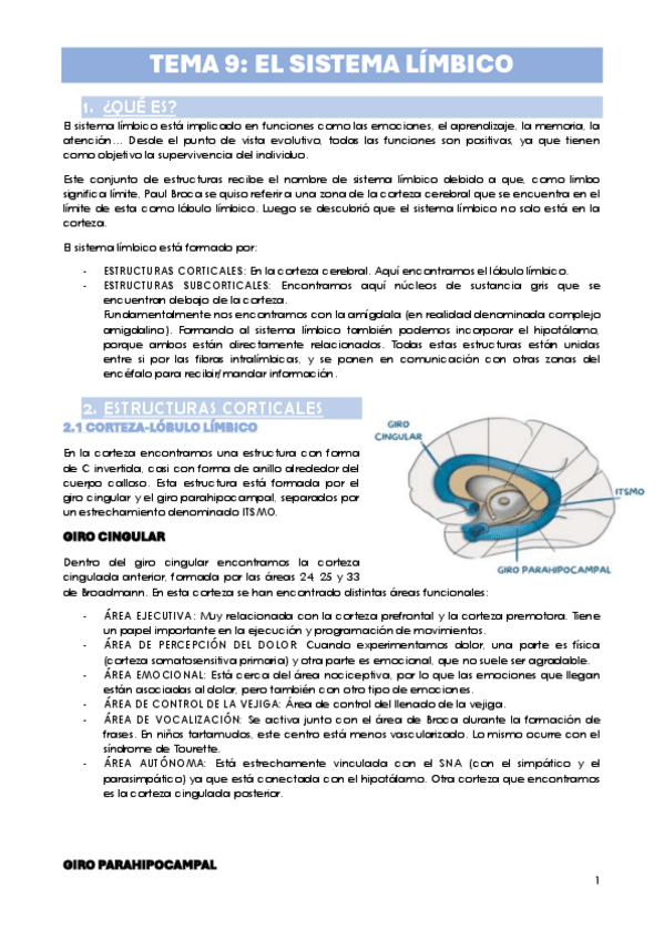 Miniatura del documento TEMA-9.-EL-SISTEMA-LIMBICO.pdf