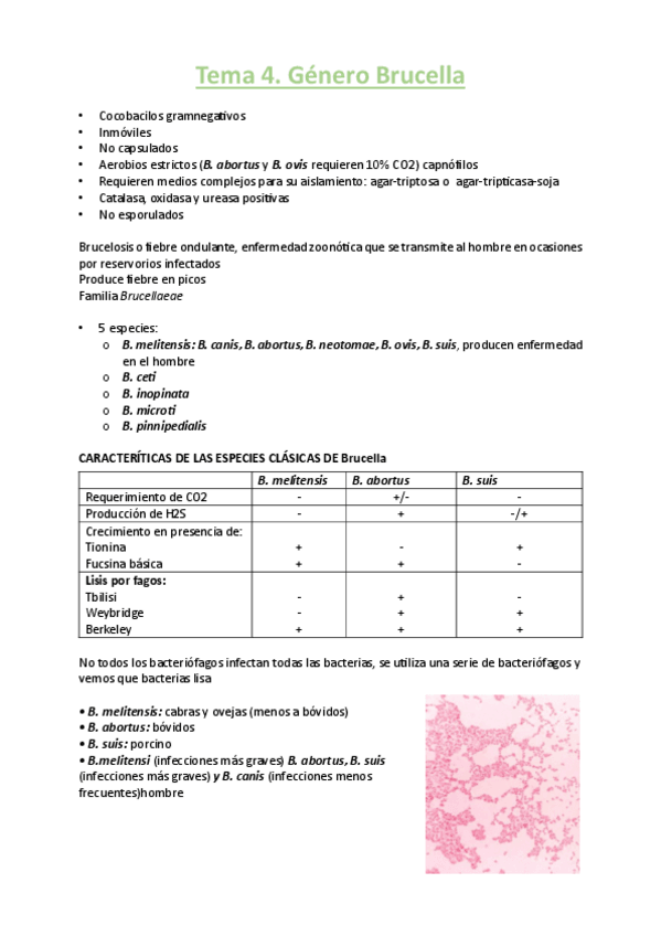 Miniatura del documento micro-ii-tema-4.pdf