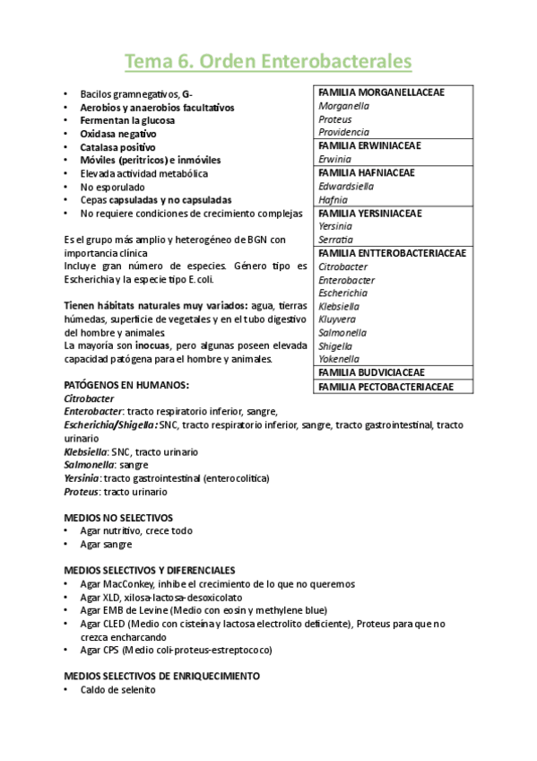 Miniatura del documento micro-ii-tema-6.pdf