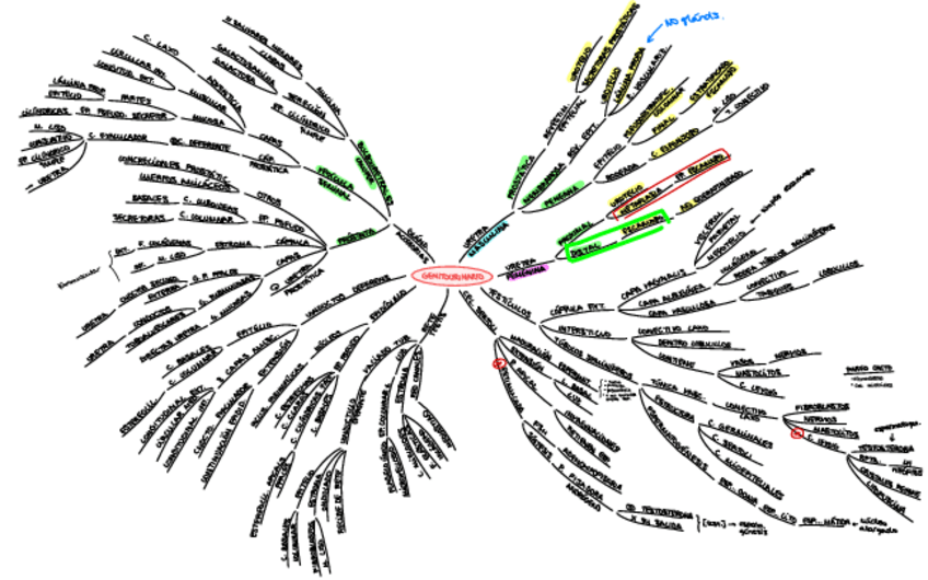 Miniatura del documento T.19-Genitourinario-II.pdf