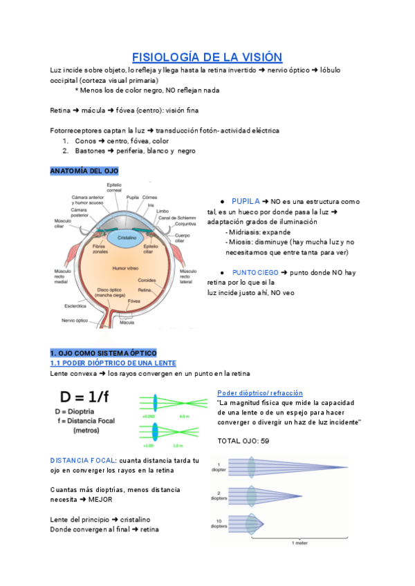 Miniatura del documento Vision..pdf
