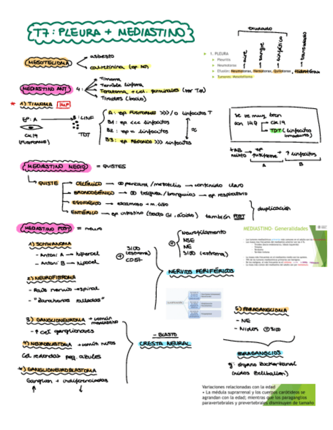 Miniatura del documento T7-Pleura-y-mediastinosolo-imp.pdf