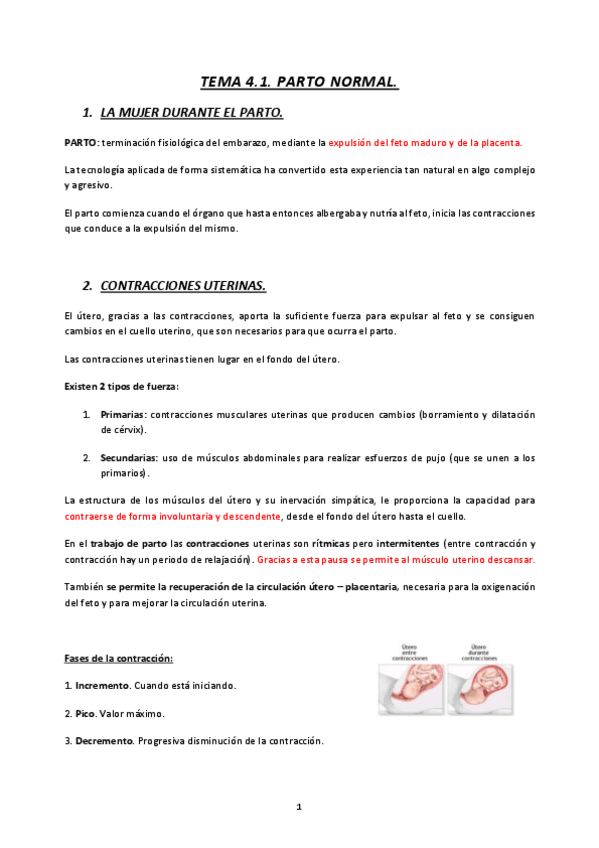 Miniatura del documento TEMA-4.1-Y-4.2.-MATERNAL-23-24-PARTO-NORMAL-Y-COMPLICACIONES-EN-EL-PARTO.pdf