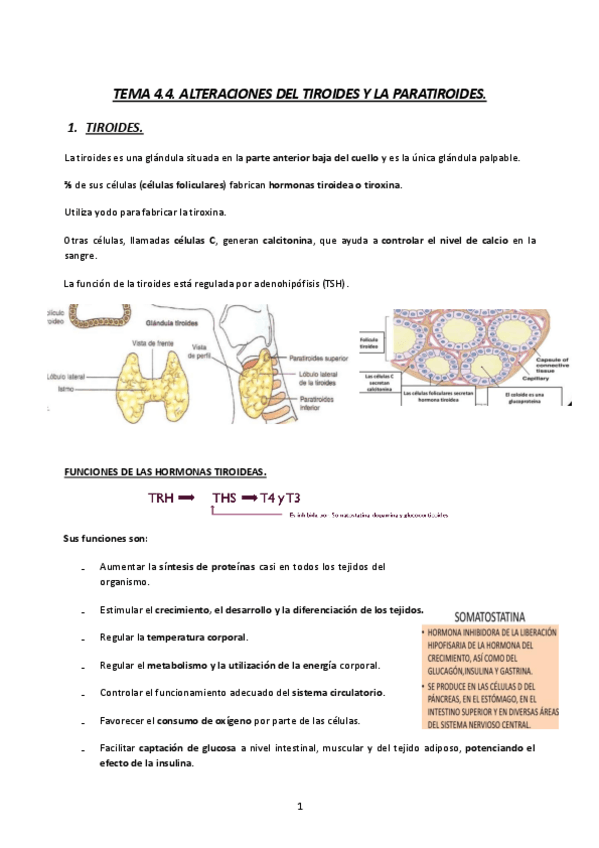Miniatura del documento TEMA4.4.-MQ3-23-24-ALTERACIONES-DEL-TIROIDES-Y-DE-LA-PARATIROIDES.pdf