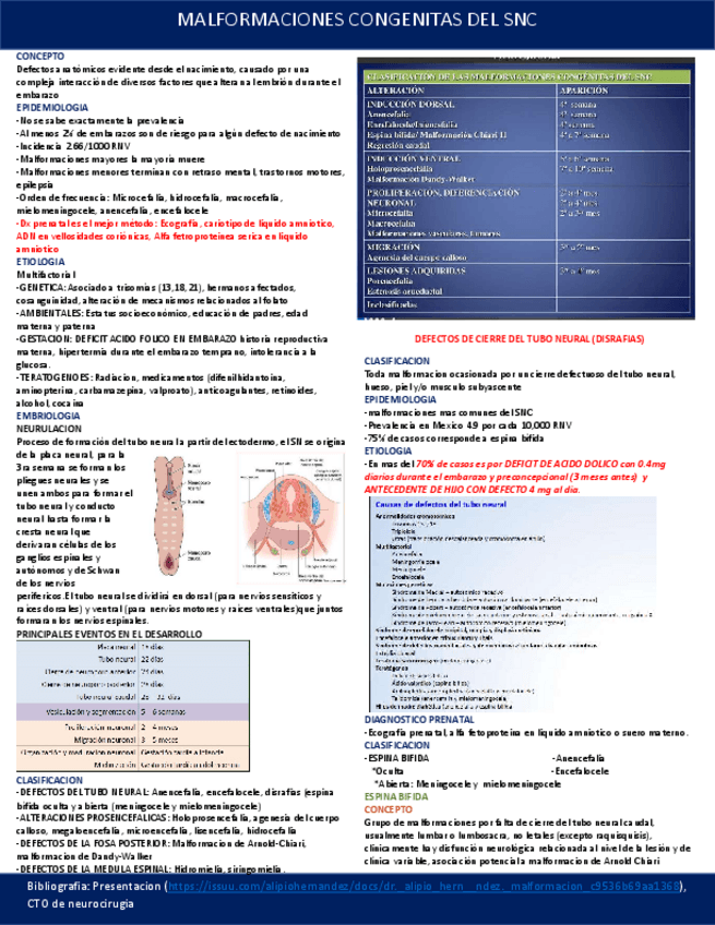 Miniatura del documento MALFORMACIONES-CONGENITAS-DEL-SISTEMA-NERVIOSO-CENTRAL.pdf