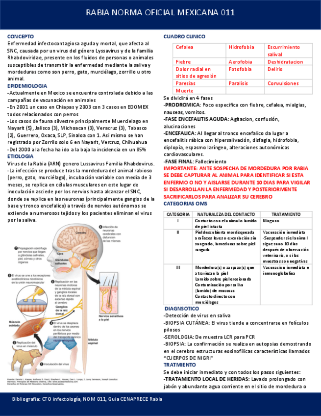 Miniatura del documento RABIA.pdf