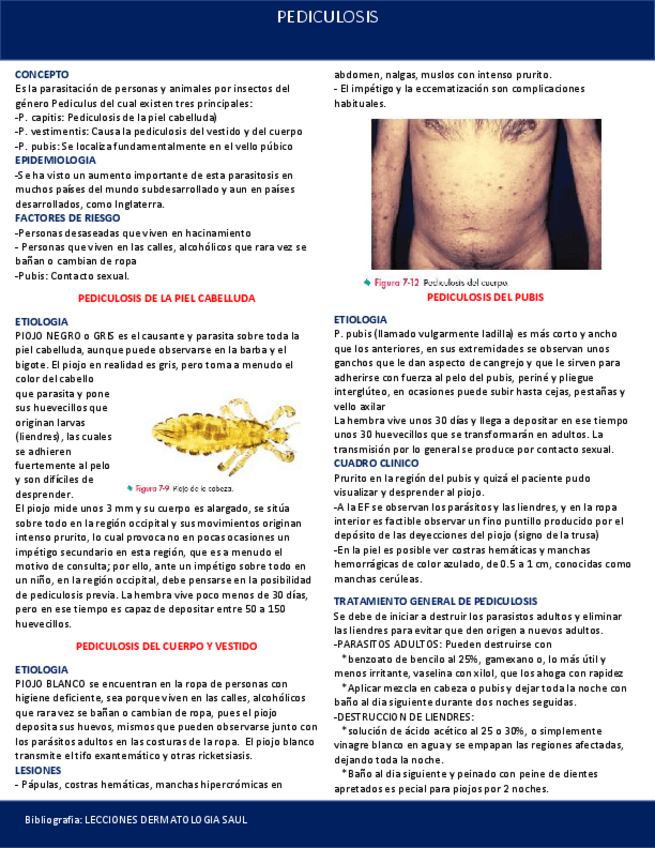 Miniatura del documento PEDICULOSIS.pdf