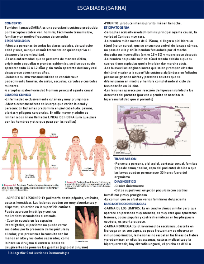 Miniatura del documento ESCABIASIS-O-SARNA.pdf