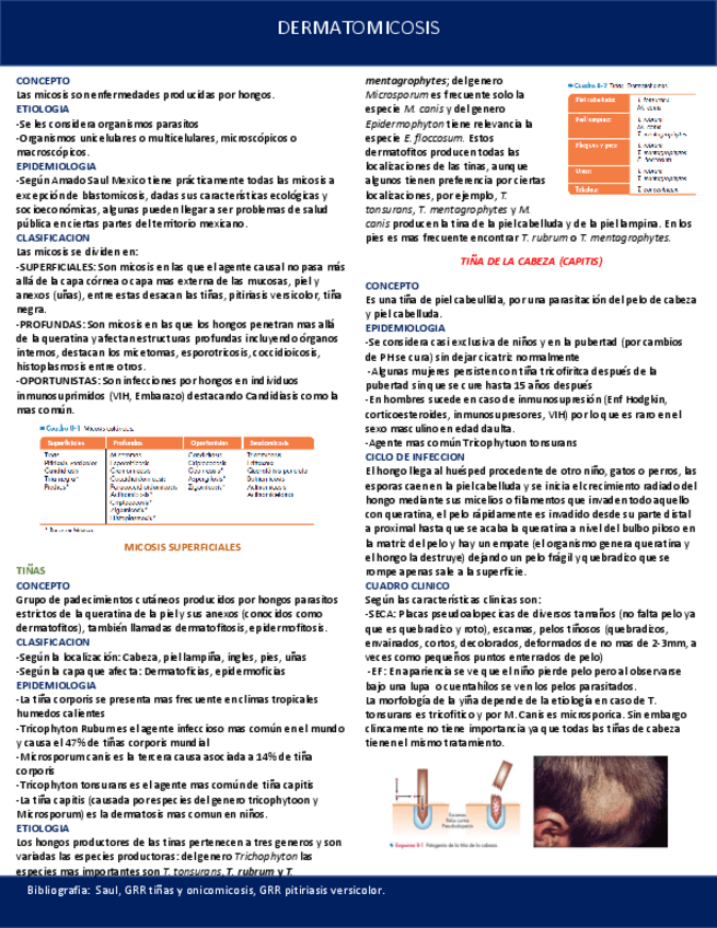 Miniatura del documento DERMATOMICOSIS-O-TINAS.pdf