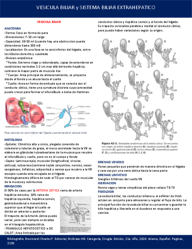 Miniatura del documento ANATOMIA-VESICULA-BILIAR.pdf
