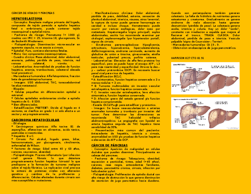 Miniatura del documento CANCER-DE-HIGADO-Y-PANCREAS.docx