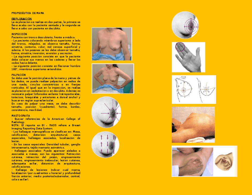 Miniatura del documento PROPEDEUTICA-DE-MAMA.docx