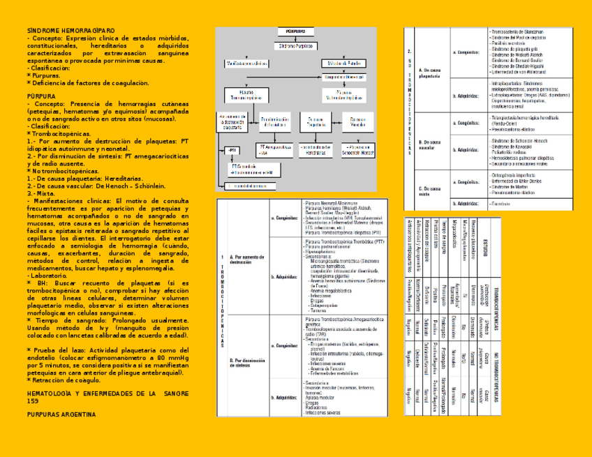 Miniatura del documento PURPURAS.docx