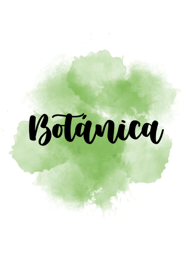 Miniatura del documento Botanica-primer-cuatri.pdf