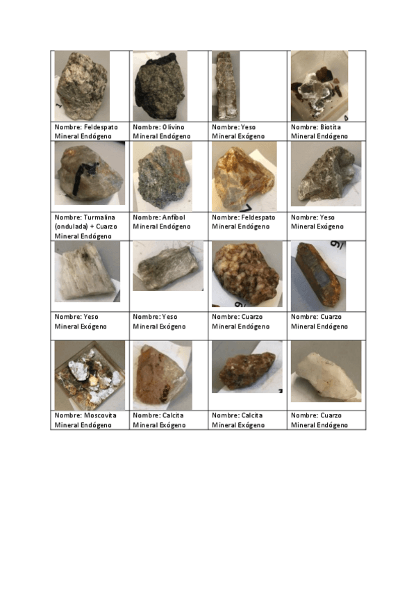 Miniatura del documento Visu-Geologia.pdf