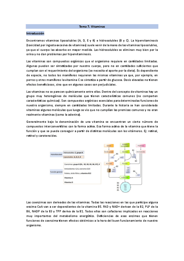 Miniatura del documento Tema-7-NUTRI.pdf