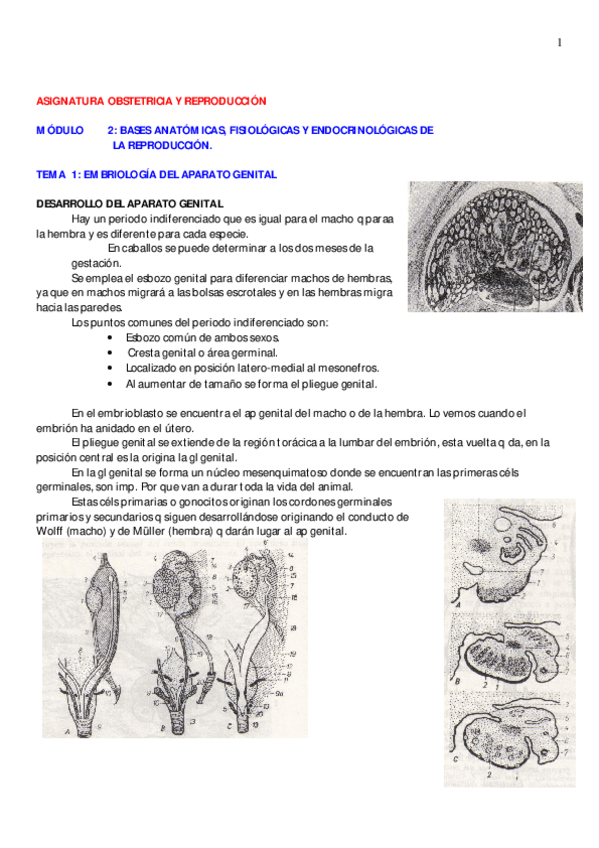 Miniatura del documento Reproduccion grandes completo (2).pdf