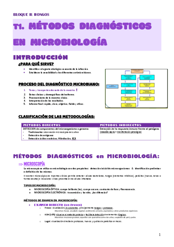 Miniatura del documento MICRO-MED-T1-Hongos.pdf