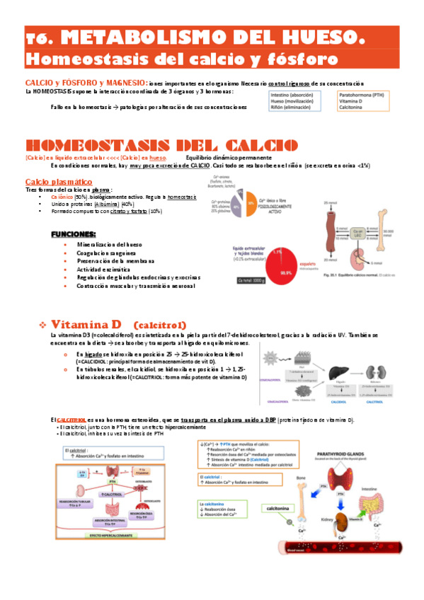 Miniatura del documento T6-bioq-clinica-METABOLISMO-DEL-HUESO-calcio-y-fosforo.pdf
