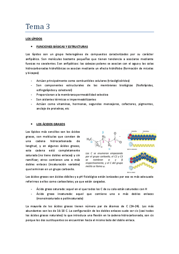 Miniatura del documento Tema-3.pdf
