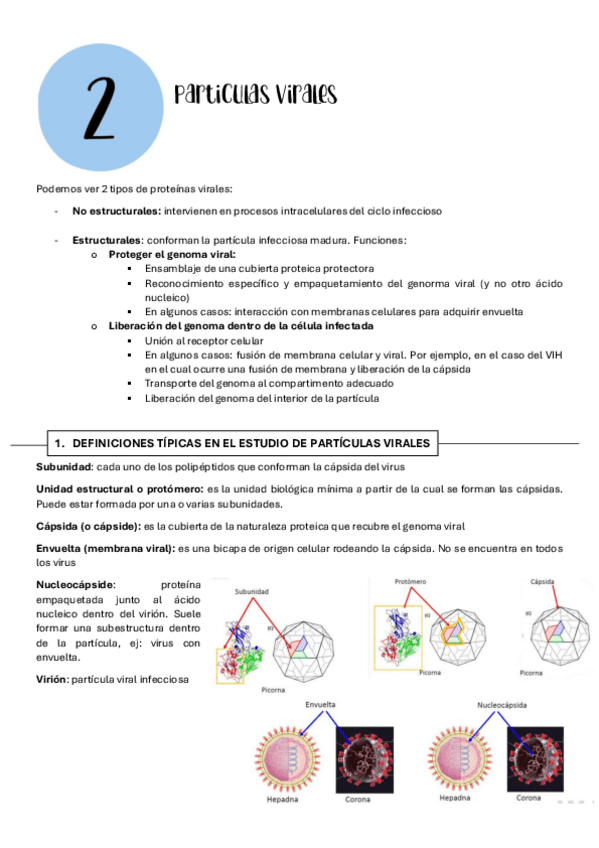 Miniatura del documento VIROLOGIA.-TEMA-2.pdf