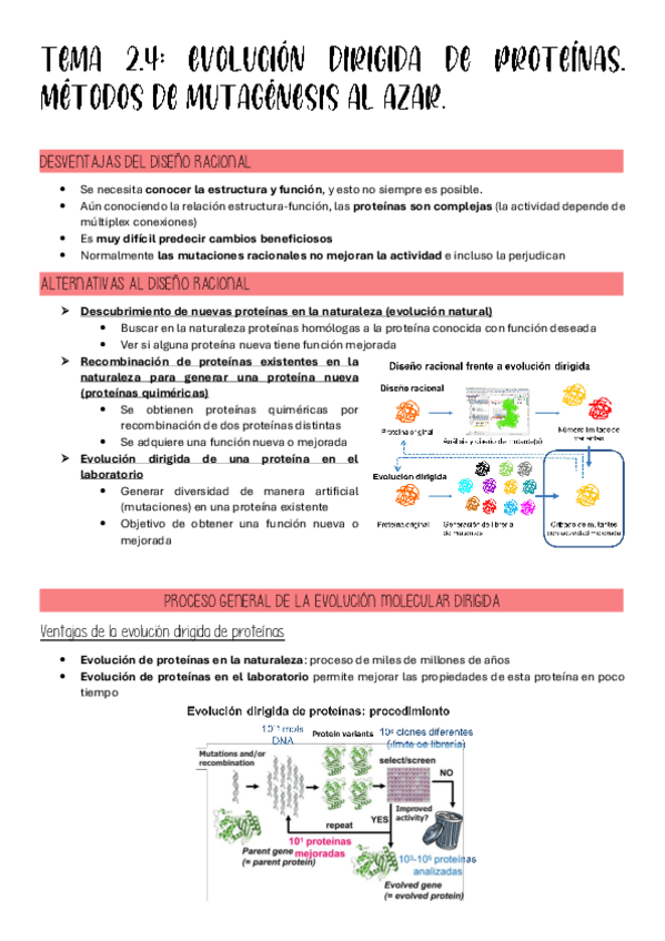 Miniatura del documento TEMA-2.4.pdf