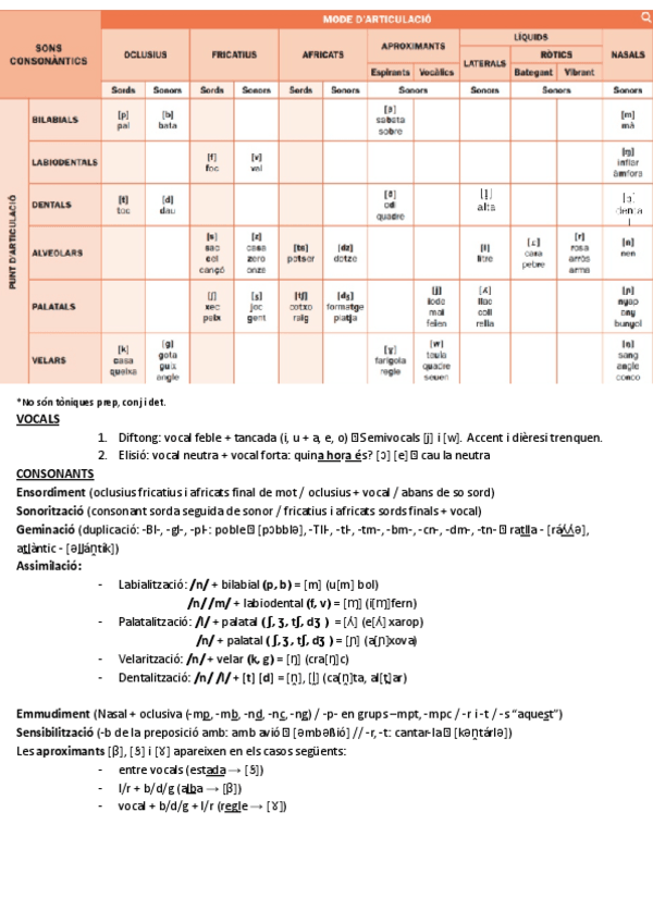 Miniatura del documento Fonetica.pdf