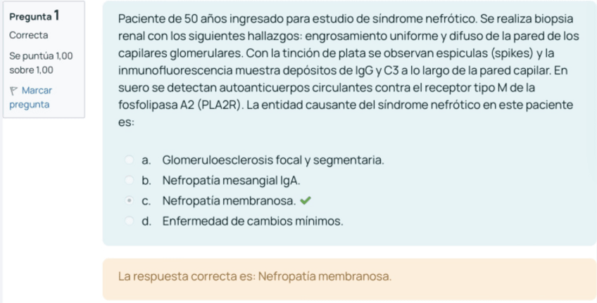 Miniatura del documento ExamenNEFRO2024Enero.pdf