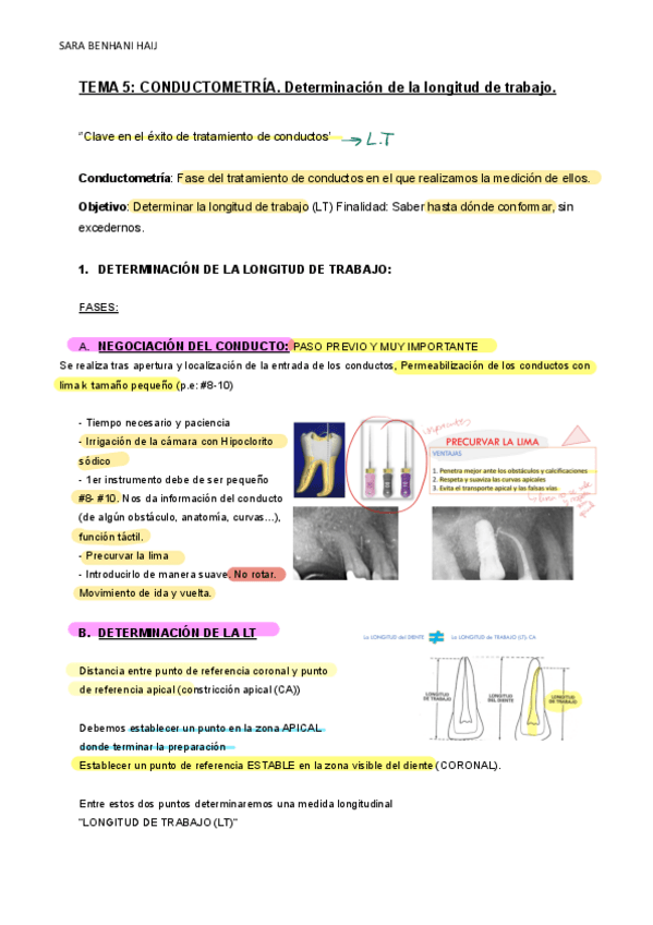 Miniatura del documento PTD-III-temas-5-9.pdf