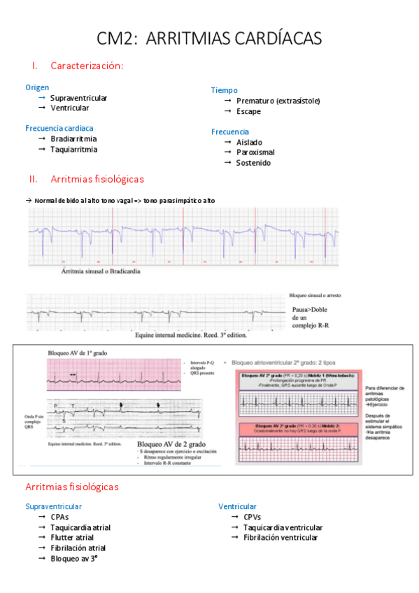 Miniatura del documento CARDIO-2-Arritmias-cardiaca.pdf