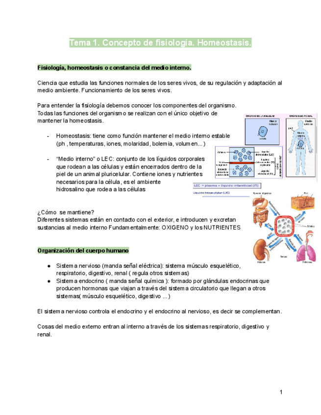 Miniatura del documento Tema-1-fisiologia-humana.pdf