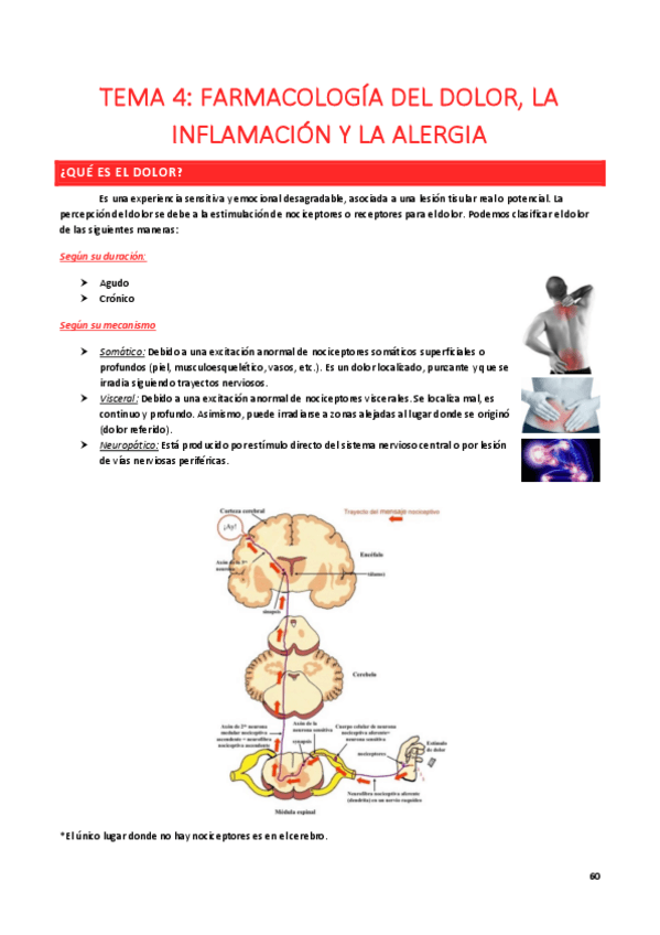 Miniatura del documento Tema-4-Dolor-inflamacion-y-alergia-FARMA.pdf