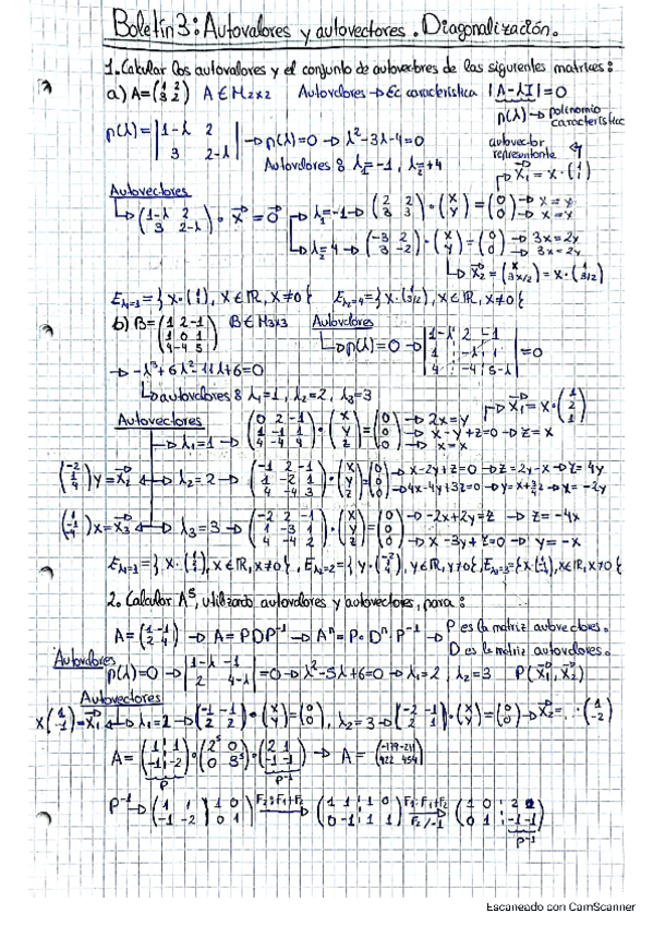 Miniatura del documento Boletin-3.pdf