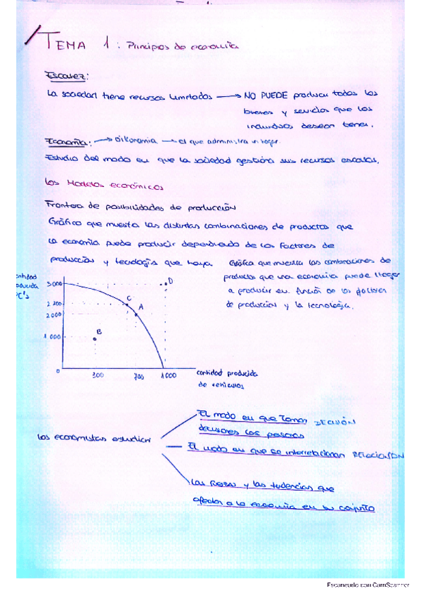 Miniatura del documento Tema-1-Economia.pdf