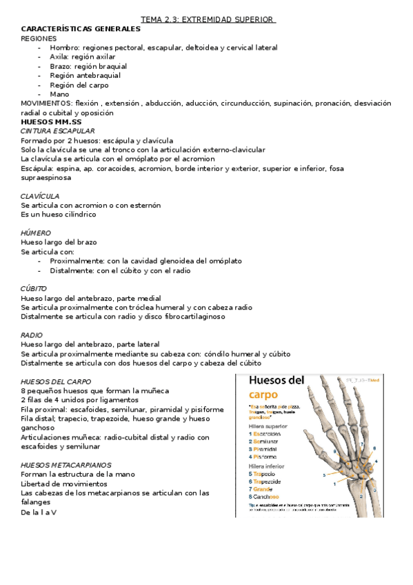 Miniatura del documento TEMA-2.3-Extremidad-Superior.docx