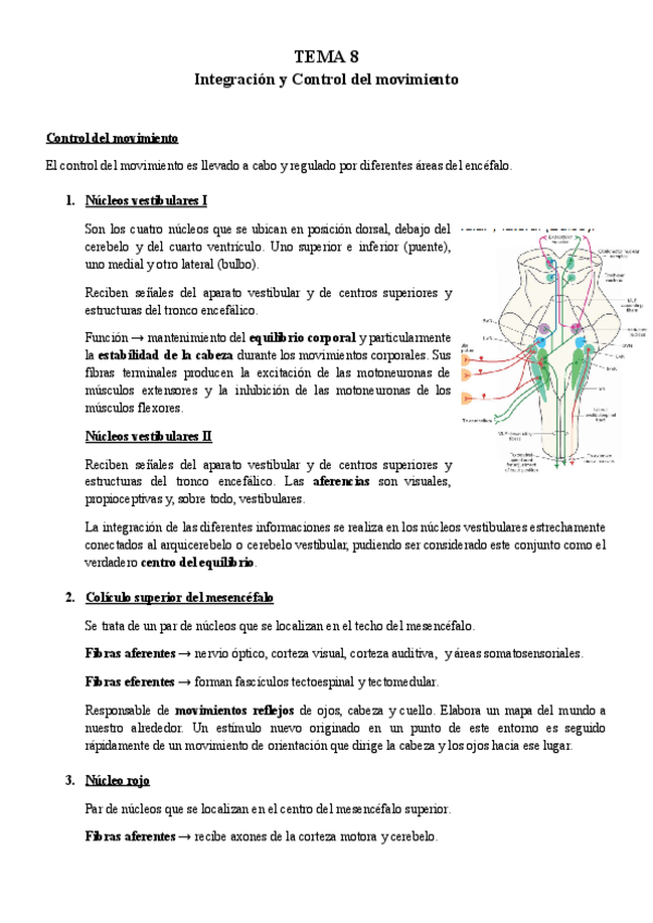 Miniatura del documento TEMA-8-BFA.pdf