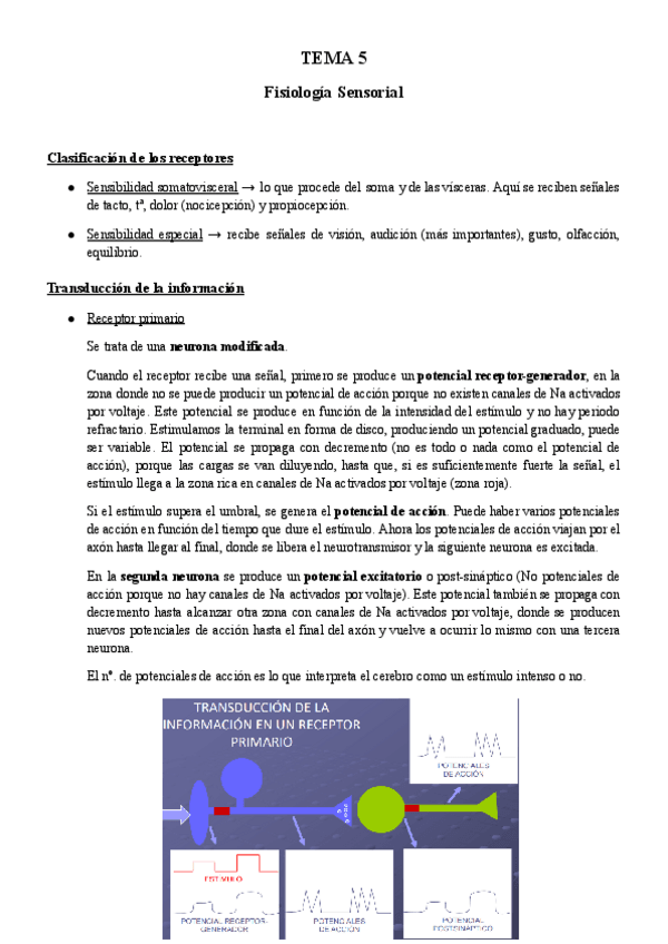 Miniatura del documento TEMA-5-BFA.pdf