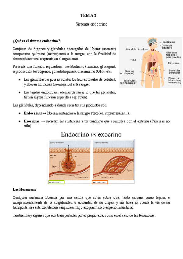 Miniatura del documento TEMA-2.pdf