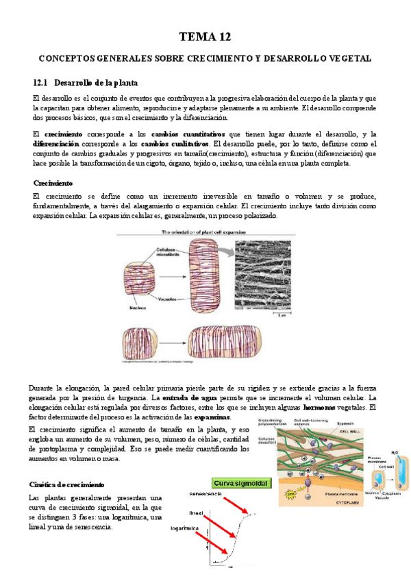 Miniatura del documento Tema-12-BFP.pdf