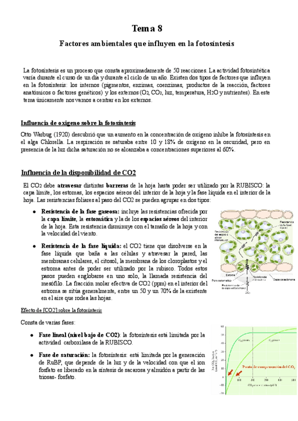 Miniatura del documento Tema-8-BFP.docx.pdf