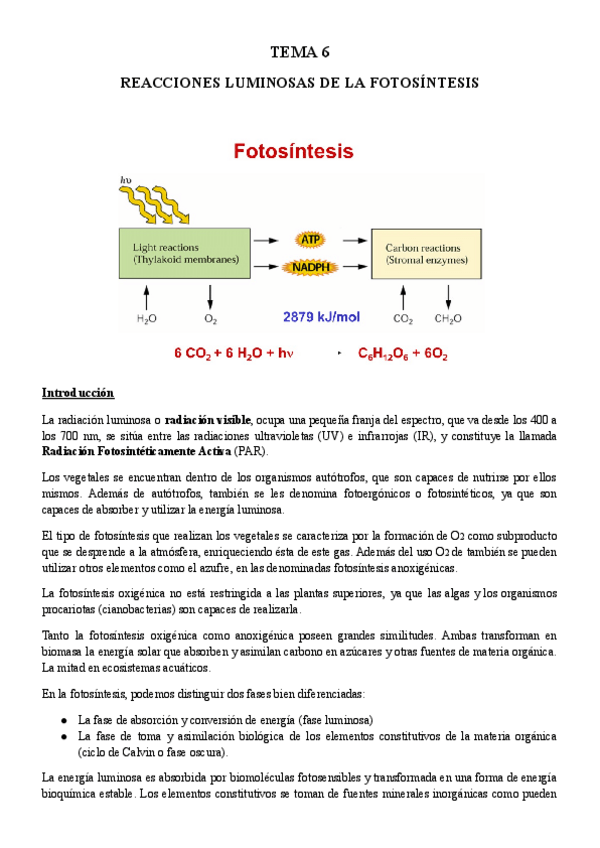 Miniatura del documento TEMA-6-BFP.pdf