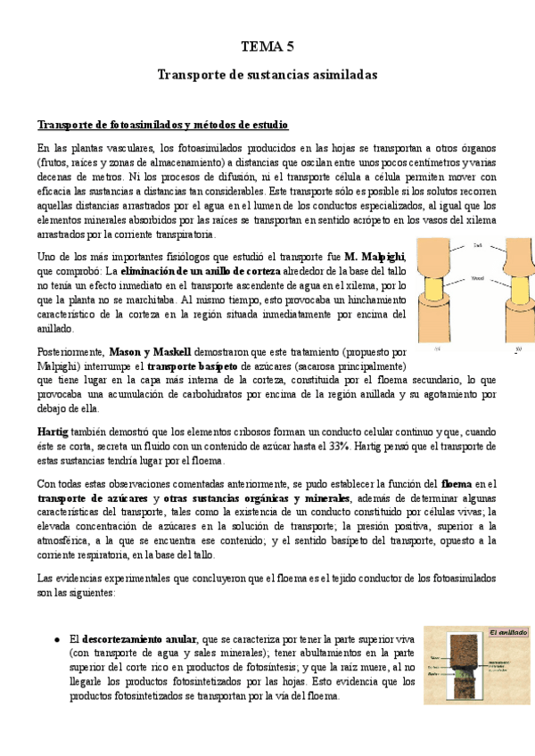 Miniatura del documento TEMA-5-BFP.pdf